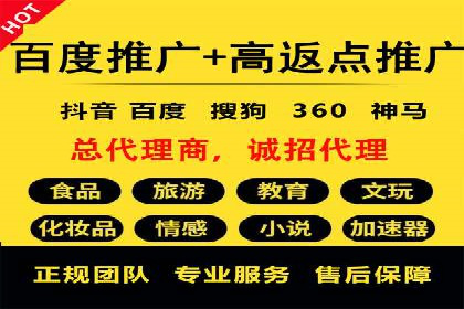 SEM服务案例：提升网站流量